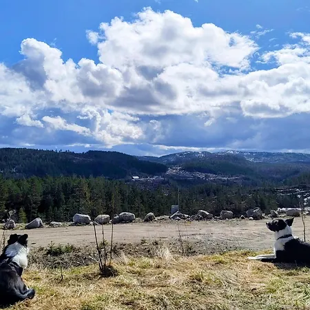 Leilighet Eikerapen Panorama Aseral